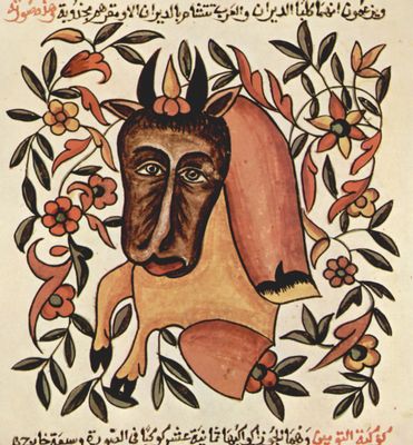 Arabischer Maler des 18. Jahrhunderts: Die Wunder der Schpfung des al-Qazwn, Szene: Die Tierkreisfigur Taurus
