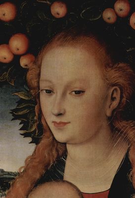 Lucas Cranach d. .: Madonna unter dem Apfelbaum, Detail: Kopf der Madonna