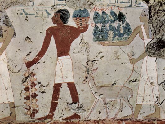 Maler der Grabkammer des Amenemht: Grabkammer des Amenemht, ranghoher Offizier unter der Regierung des Thutmosis' III., Szene: Opfertrger