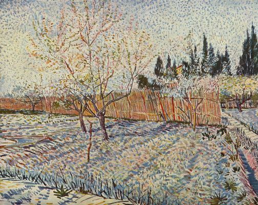Vincent Willem van Gogh: Obstgarten mit Zypressen