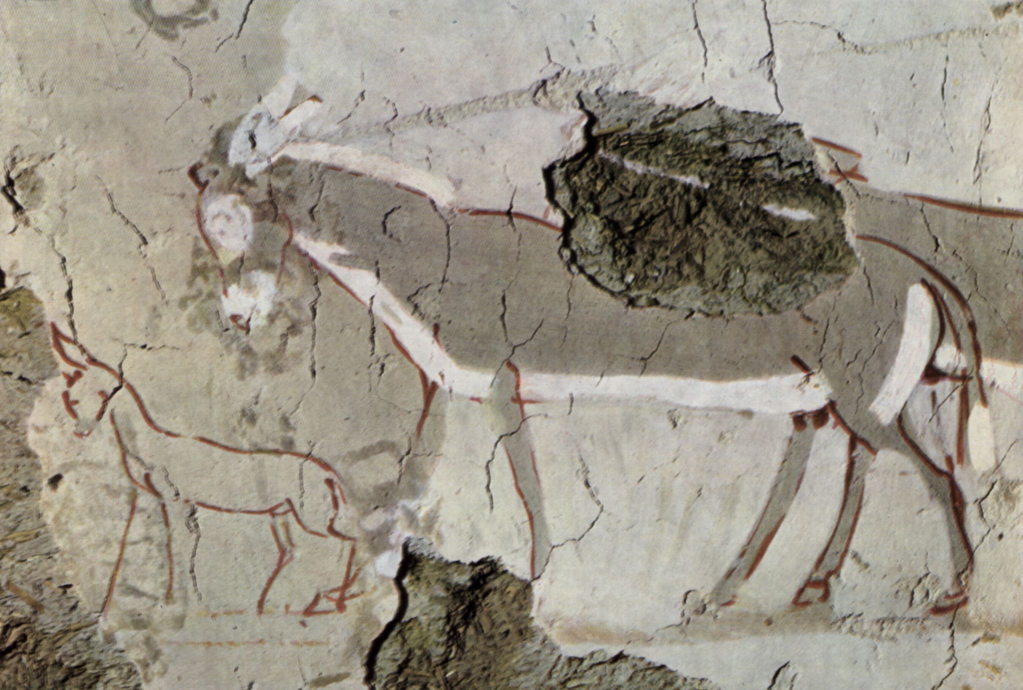 gyptischer Maler um 1430 v. Chr.: Grabkammer eines Unbekannten, Szene: Esel