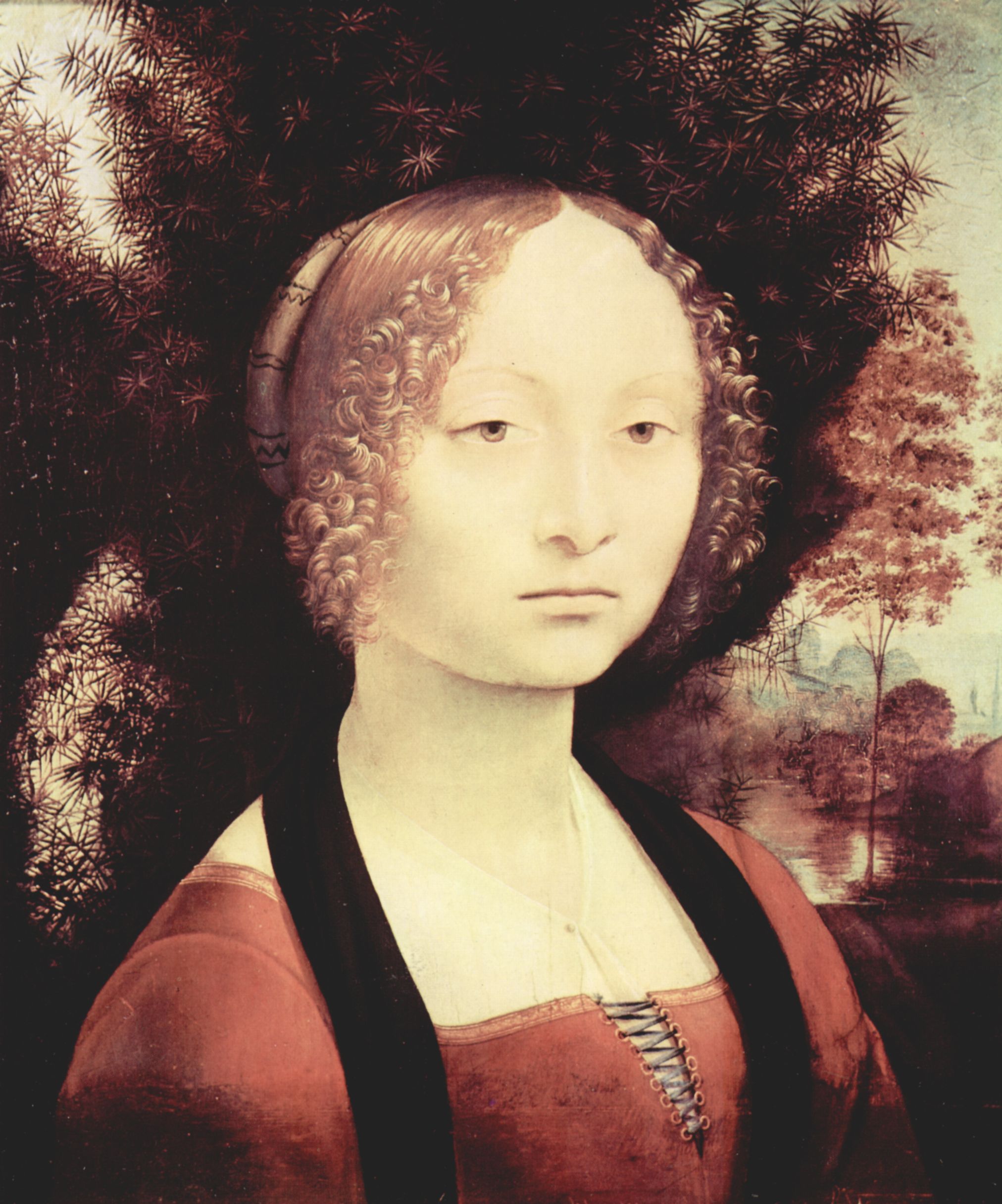Leonardo da Vinci: Portrt einer Edeldame (Ginevra Benci?)