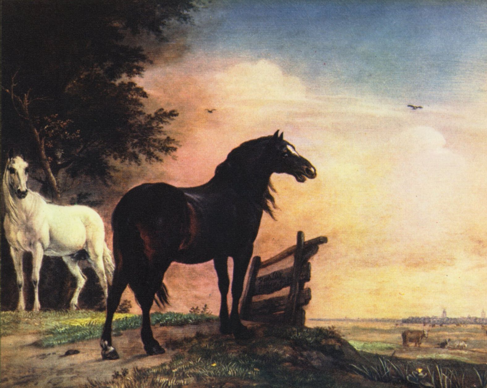 Paulus Potter: Pferde auf der Weide