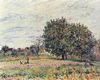 Alfred Sisley: Nussbäume bei untergehender Sonne, Anfang Oktober
