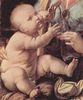 Leonardo da Vinci: Madonna mit der Nelke, Detail: Christuskind und Nelke