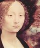Leonardo da Vinci: Porträt einer Edeldame (Ginevra Benci?), Detail